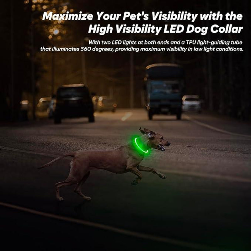 [LED Dog Collar] USB Rechargeable LED Dog Collar - Light up Adjustable Pet Collar with 3 Modes, 360° Glow Safety Necklace for Small/Medium/Large Dogs - TPU Cuttable Puppy Collar for Night Walking, Running, Hunting