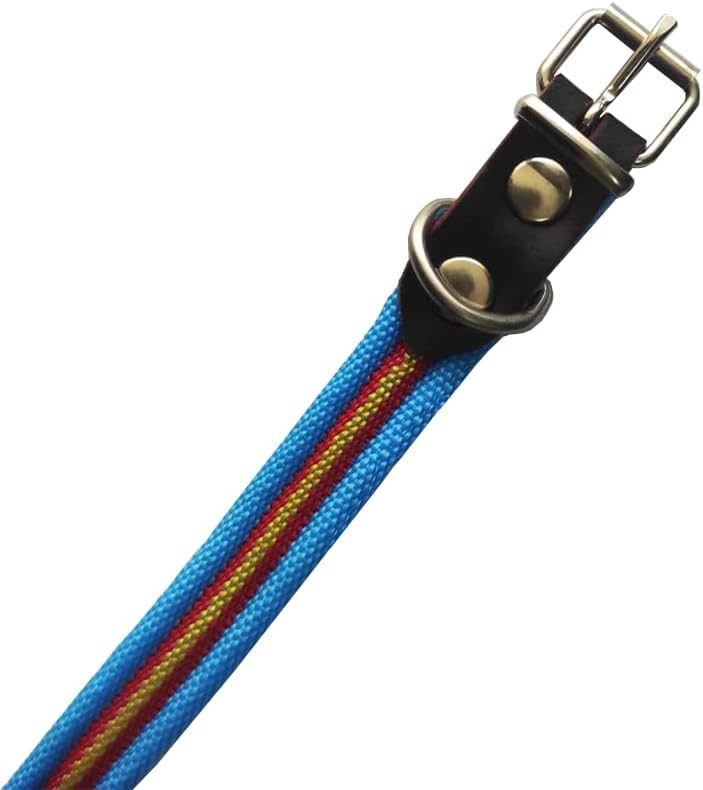 Collar De Perro Bandera De España De Algodón Azul 25 Cms | Collar Liso Para Perro Pequeño/Gato | Collar De Algodón. Resistente a Tirones Y Climatología. Collar Azul Claro Rojo Y Amarillo.