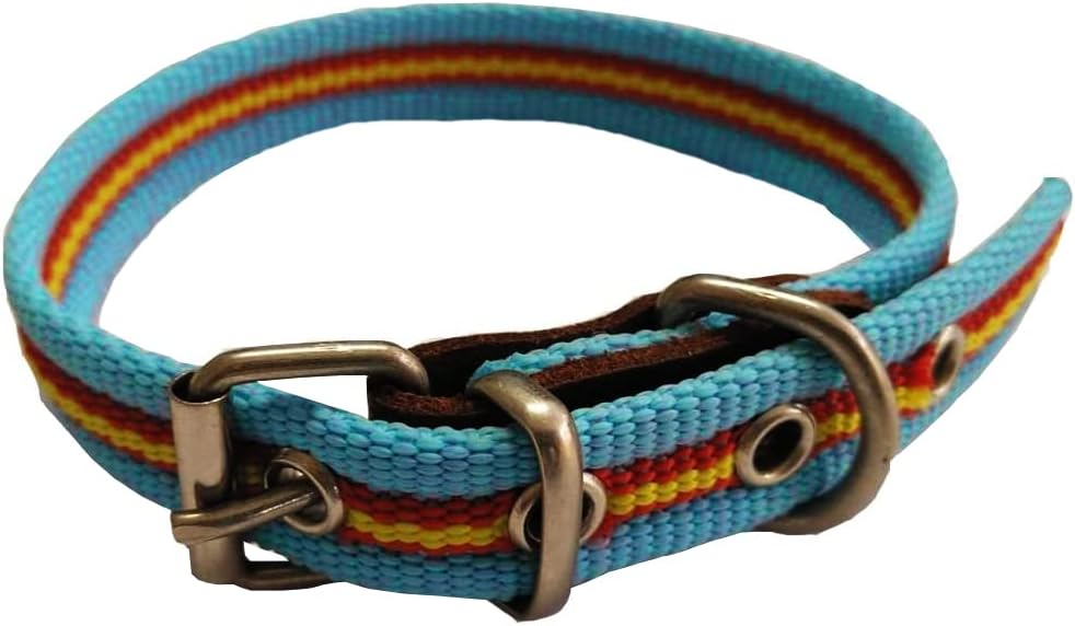 Collar De Perro Bandera De España De Algodón Azul 25 Cms | Collar Liso Para Perro Pequeño/Gato | Collar De Algodón. Resistente a Tirones Y Climatología. Collar Azul Claro Rojo Y Amarillo.