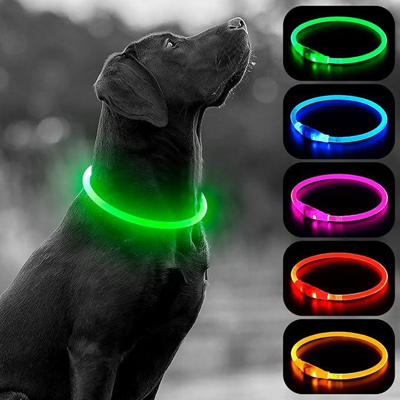 [LED Dog Collar] USB Rechargeable LED Dog Collar - Light up Adjustable Pet Collar with 3 Modes, 360° Glow Safety Necklace for Small/Medium/Large Dogs - TPU Cuttable Puppy Collar for Night Walking, Running, Hunting