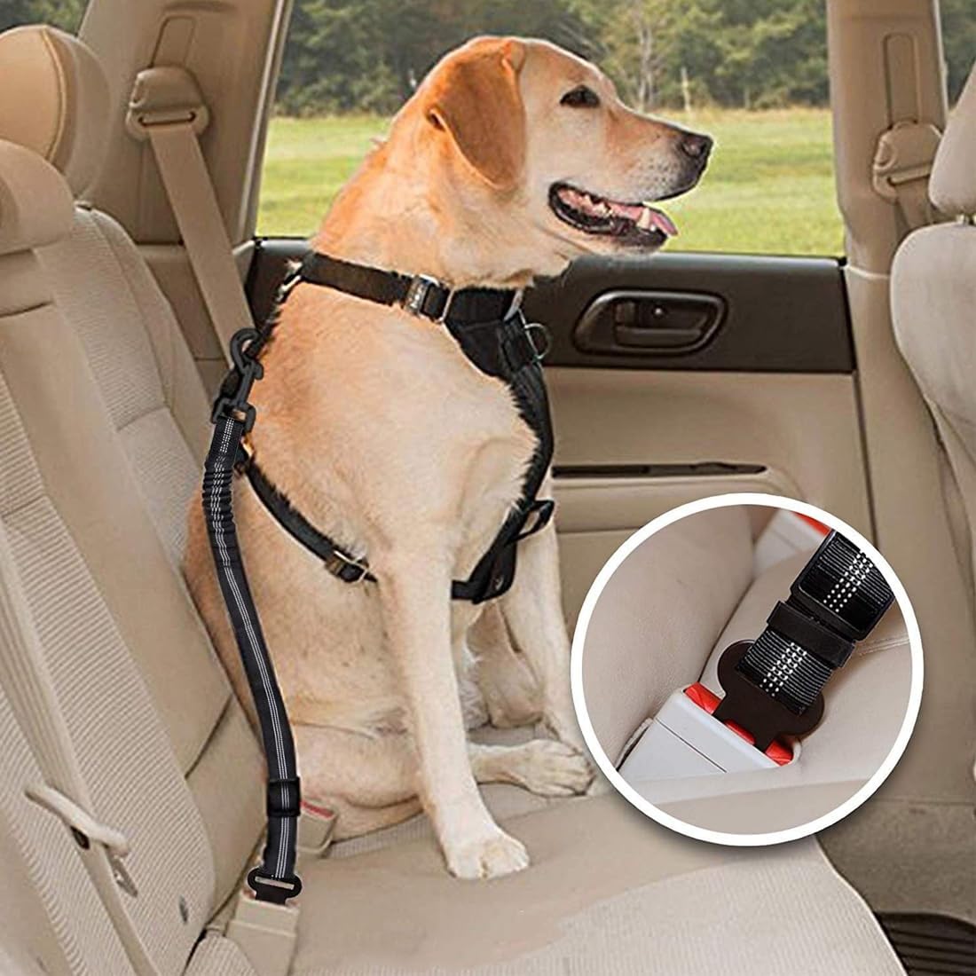 2 Piezas Cinturón De Seguridad De Coche Universal Para Todos Los Perros, Cinturon Seguridad Perro Coche, Arnés Del Cinturón De Nylon Ajustable Universal, Para Todas Las Razas Perros Y Gatos
