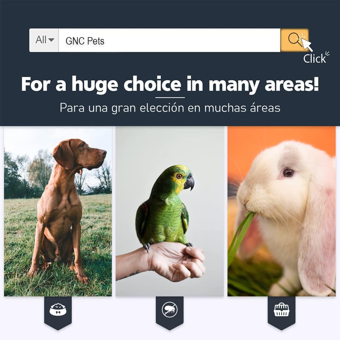 Collar De Perro Bandera De España De Algodón Azul 25 Cms | Collar Liso Para Perro Pequeño/Gato | Collar De Algodón. Resistente a Tirones Y Climatología. Collar Azul Claro Rojo Y Amarillo.