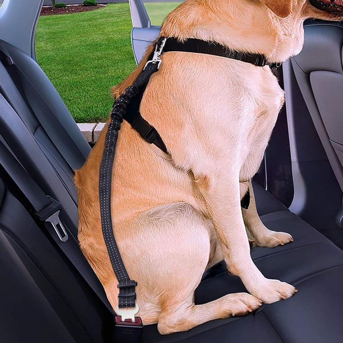 2 Piezas Cinturón De Seguridad De Coche Universal Para Todos Los Perros, Cinturon Seguridad Perro Coche, Arnés Del Cinturón De Nylon Ajustable Universal, Para Todas Las Razas Perros Y Gatos